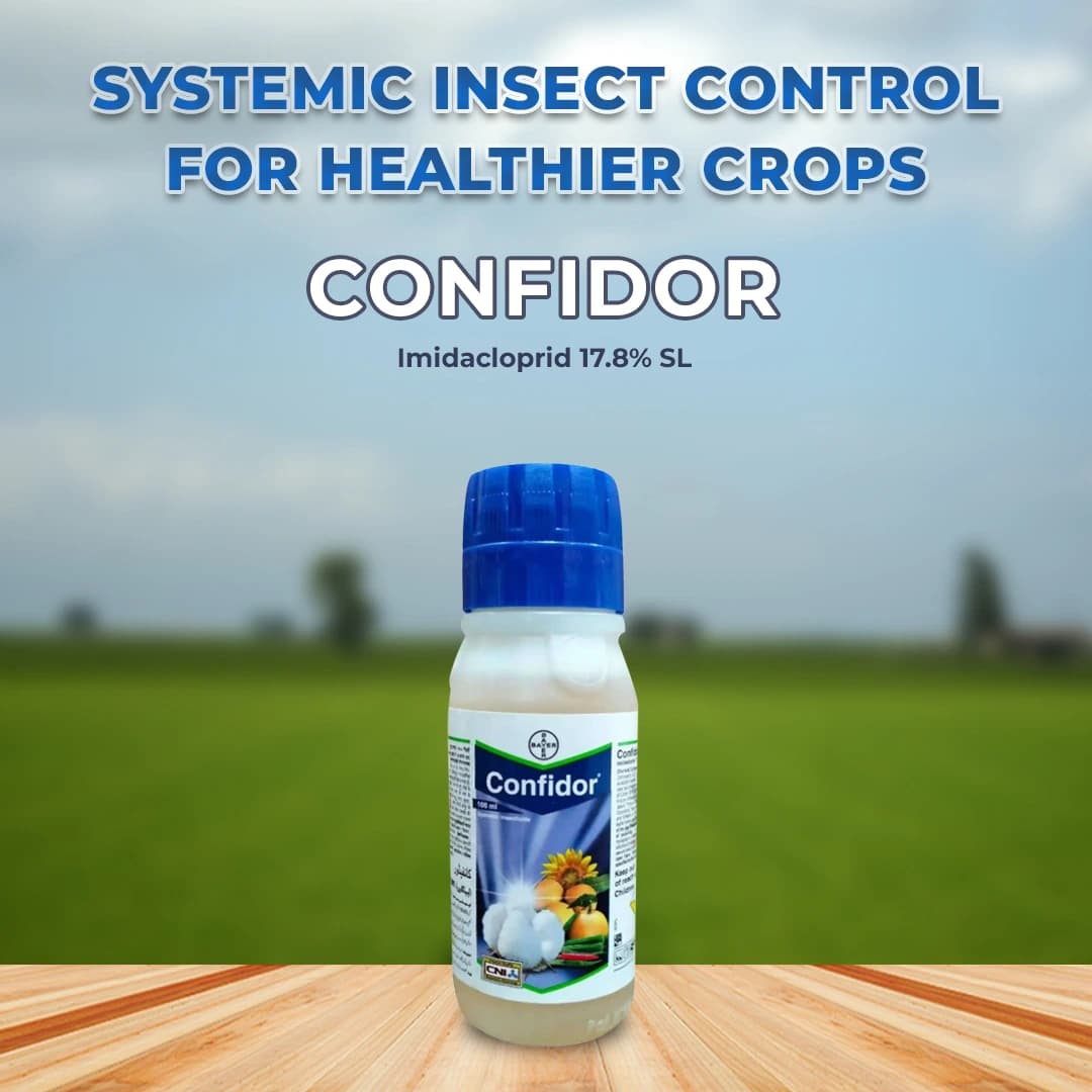 Bayer Confidor Insecticide