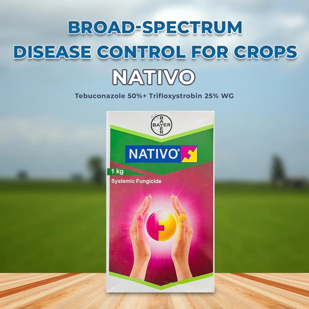 Bayer Nativo Fungicide