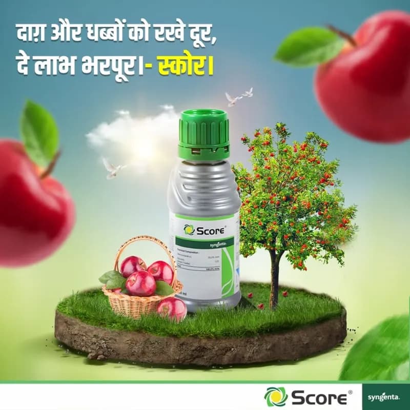 Syngenta Score Fungicide