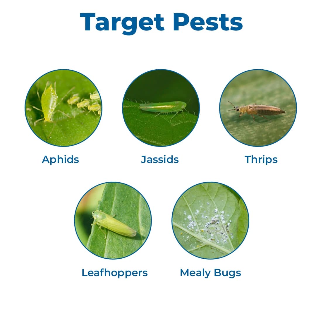 FMC Rogor Insecticide