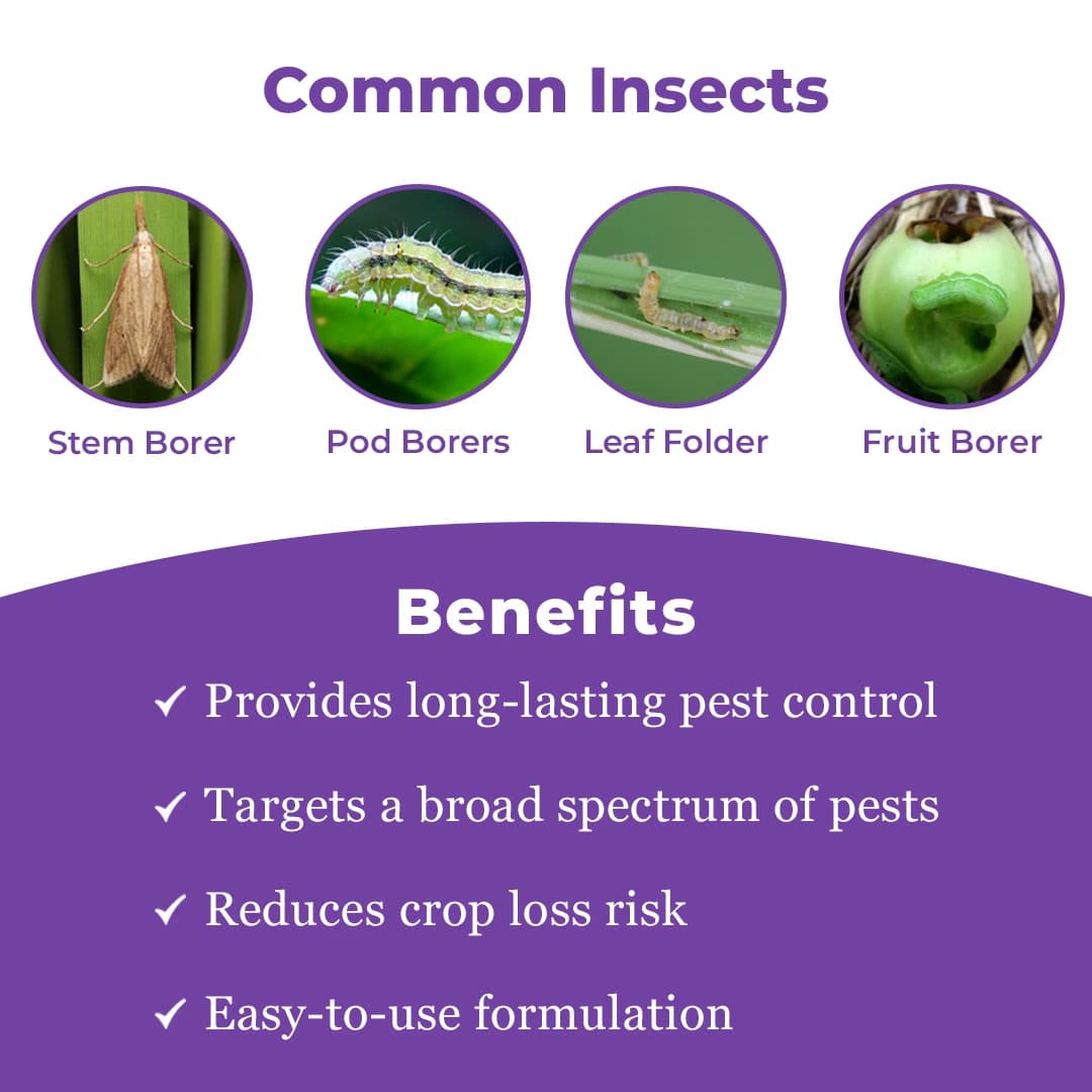 FMC Coragen Insecticide