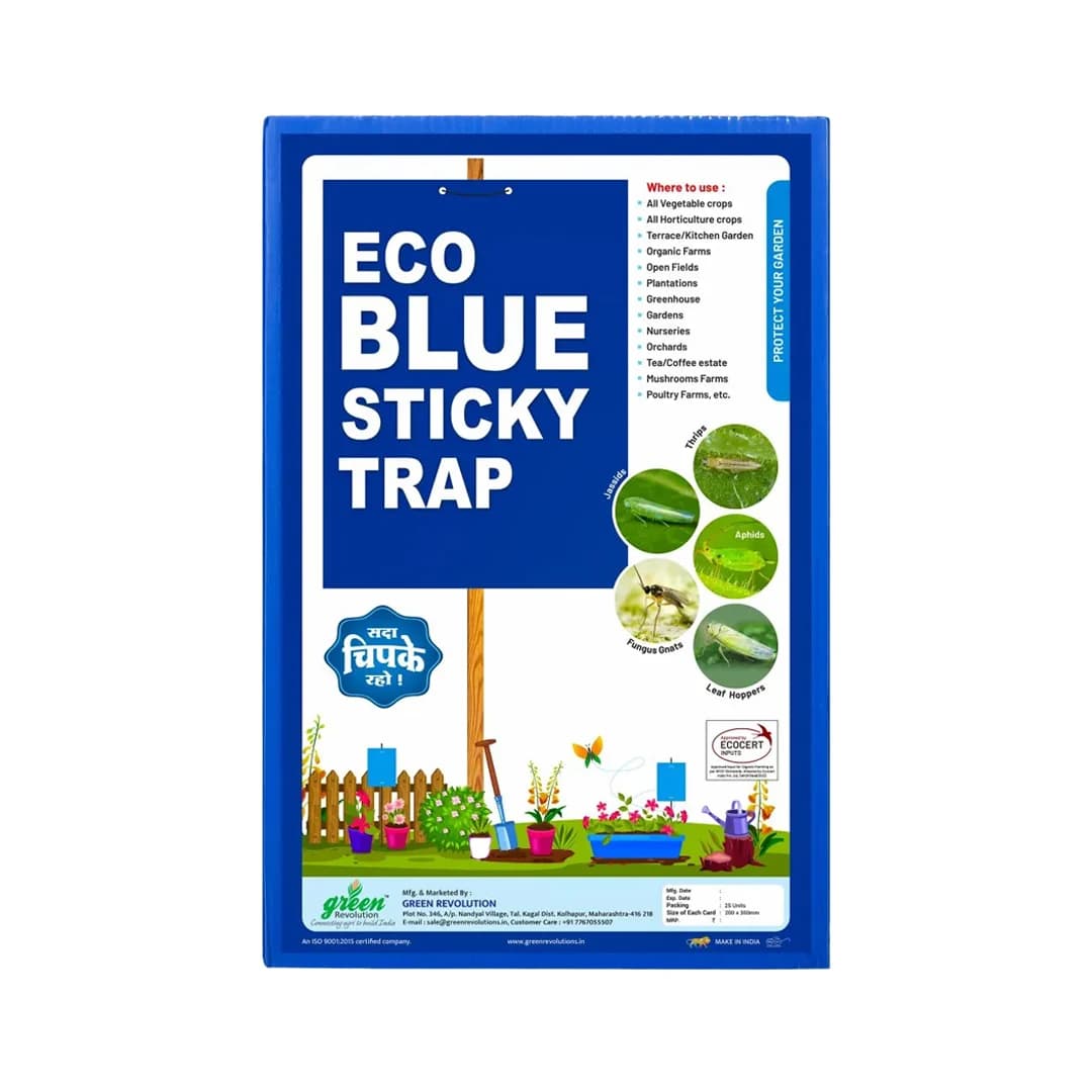 Green Revolution A4 Size Yellow And Blue Sticky Traps