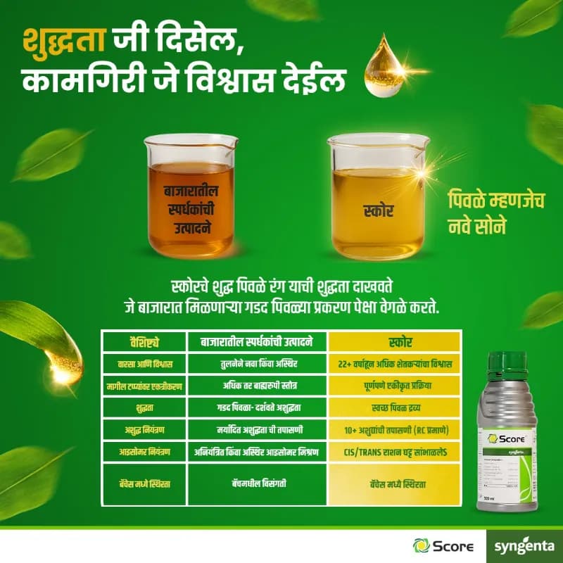 Syngenta Score Fungicide